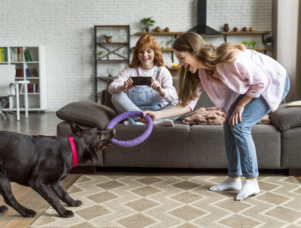 10 activités d’intérieur pour votre chien