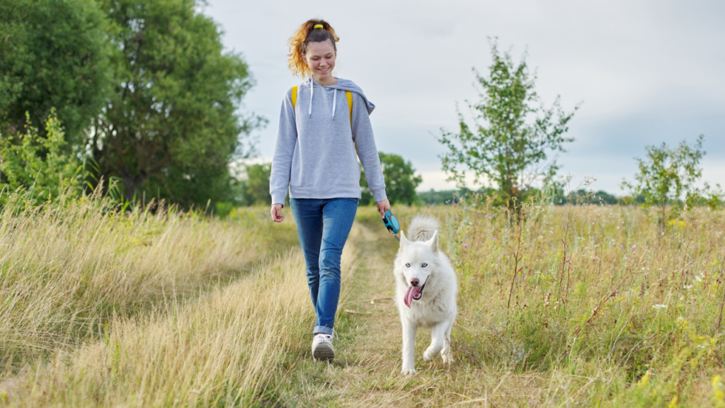 Chien qui se promène avec son maitre