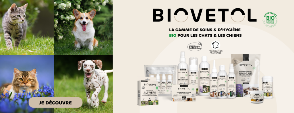 682308c5a17d4bb9dc2a1cae