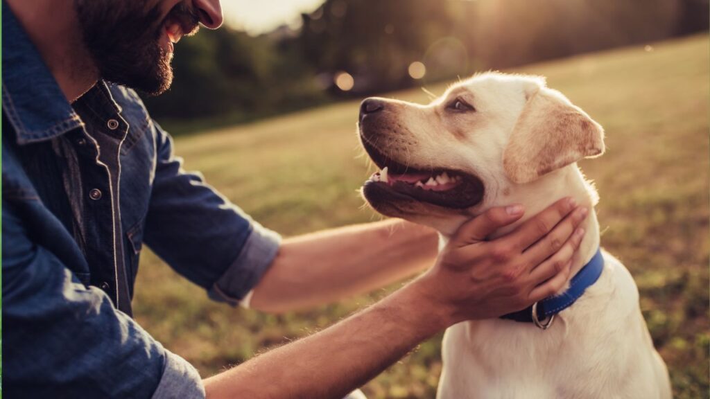 chien et son maitre