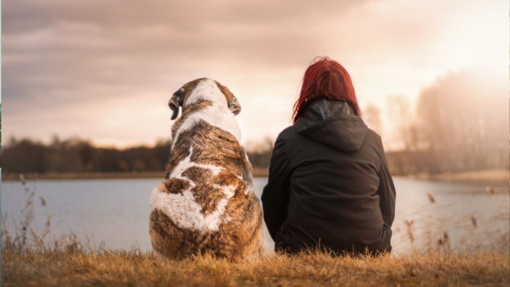 chien et son maitre