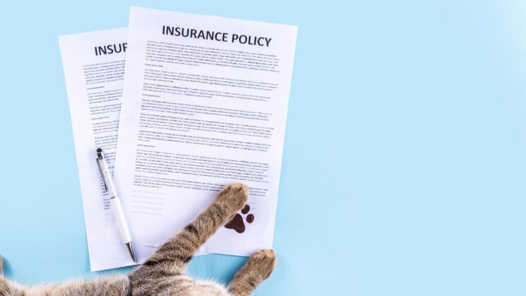 contrat et chien