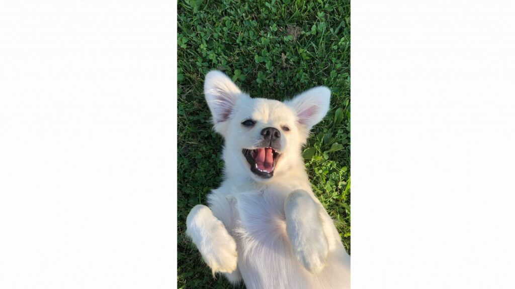 golden hour 2025 12 21t012236.229