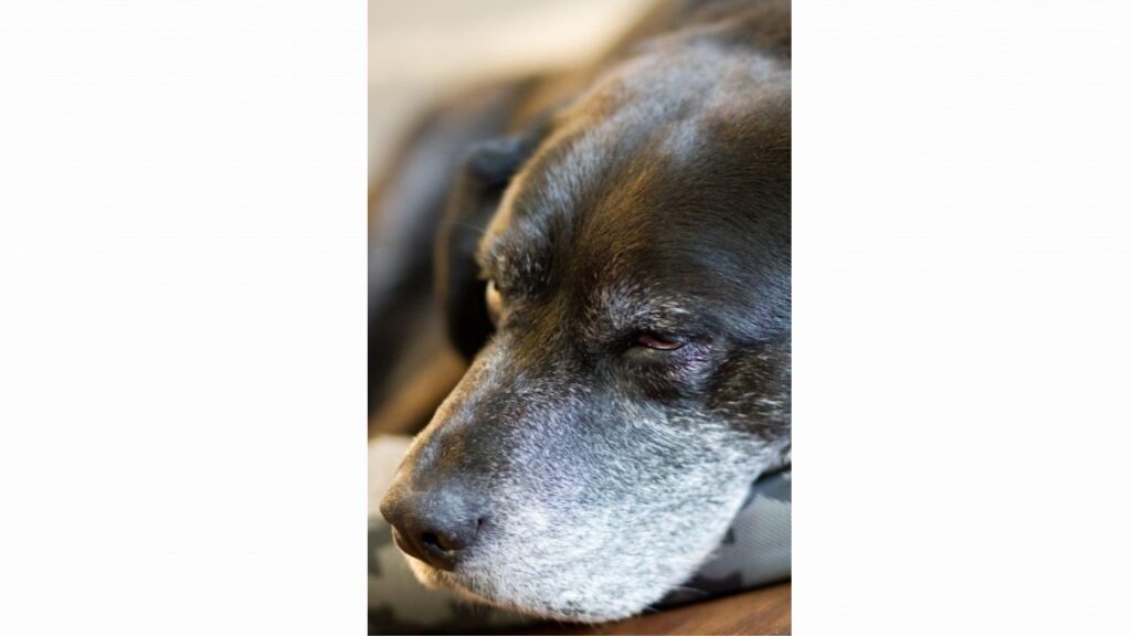 golden hour 2026 01 04t013211.157