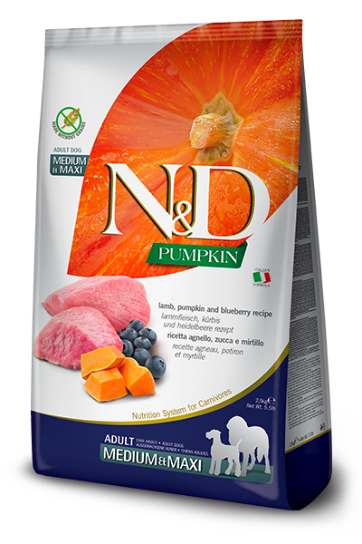 393 34 nd pumpkin adult medium maxi lamb pumpkin blueberry [400x600pxl]@img farmina site
